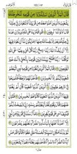 Surah Al-A'raaf 163