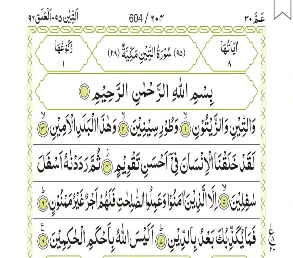 Surah At-Teen 604